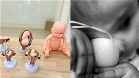 吳少喬，我是女同志，也是媽媽授權提供、翻攝自pixabay