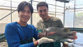 《世界第一等》。(圖/八大電視提供)