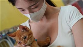火爆正妹當志工遭「襲胸」！萬人見本尊嗨炸：想變成一隻貓