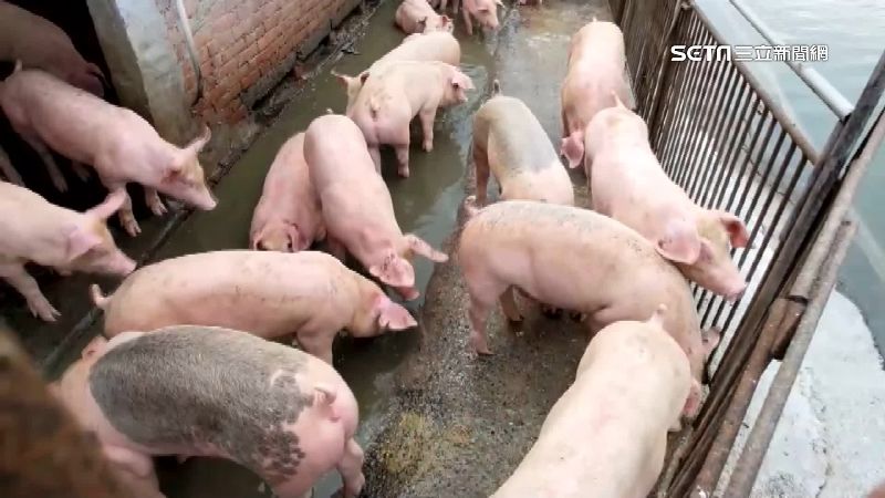 住家附近若有豬舍、其他動物畜牧場、水稻田或灌溉溝渠、濕地等病媒蚊易孳生密集的地方,建議補打日本腦炎疫苗