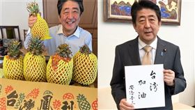 安倍晉三,鳳梨,介殼蟲