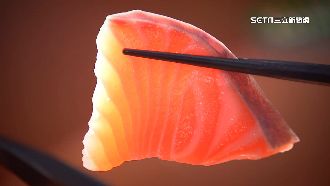 少吃鮭魚救石斑　陳吉仲：鮭魚非常貴
