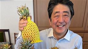 外交部臉書晚間貼出安倍手拿台灣鳳梨的照片並寫道，「您手裡拿著台灣鳳梨溫暖真誠的笑容，會永遠記在台灣人的心裡」。（圖／翻攝自安倍晉三推特）

