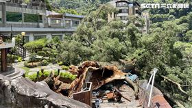 谷關神木谷大飯店內的千年五葉松神木倒塌。（圖／民眾提供）