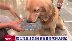 結合糧農理念！福壽寵食要求與人同級