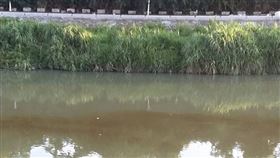 油汙汙染、環境汙染（圖／翻攝自翠屏里陳文治里長辦公室臉書）