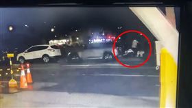 當街擄人,台南市,賴著不走,家犬