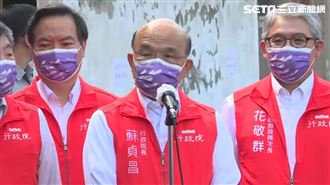 小英聲援林智堅論文挨批　蘇反嗆藍營