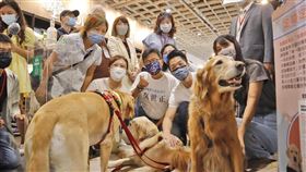 蔣萬安參觀台北寵物用品展（圖／蔣萬安競選辦公室提供）