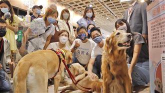 這地寵物補助加碼！絕育+保險最高領5000