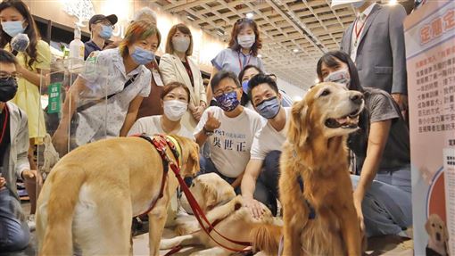 這地寵物補助加碼！絕育+保險最高領5000