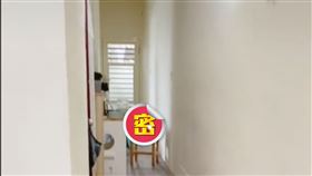 正方體,貓,麥塊