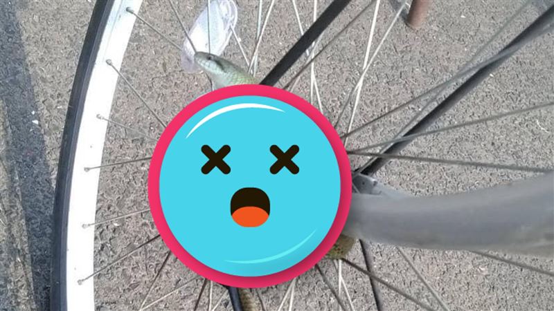 取車驚見天然鎖頭　網壞笑：沒人敢偷