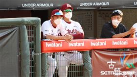 ▲樂天桃猿總教練曾豪駒。（圖／記者劉彥池攝影）