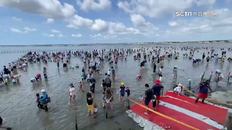 七股海邊摸文蛤　七寶宴席開百桌