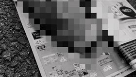 台南,殺鳥,空氣槍,塑膠彈珠,野鳥,