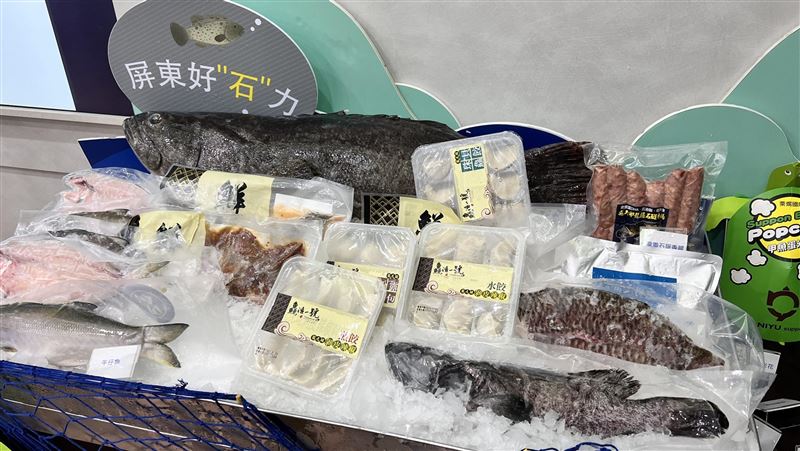 屏東石斑試銷簽約　首批龍膽石斑銷日