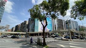 世貿天橋。（圖／新工處提供）