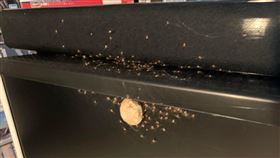 網友分享自己的螢幕黏「梅餅」，但竟是「喇牙」的卵。（圖／翻攝自「爆廢公社」）