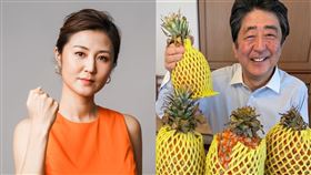 袁彌明、安倍晉三。（合成圖／翻攝自袁彌明臉書、安倍晉三推特）