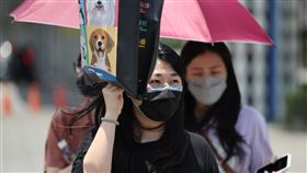 雙北等13縣市高溫燈號（2）中央氣象局10日更新高溫資訊，花蓮可能出現攝氏38度高溫，雙北、南部等12縣市防36度高溫。台北市南港區民眾外出用物品遮擋陽光。中央社記者王飛華攝　111年7月10日
