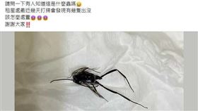 翻攝自爆系知識家臉書