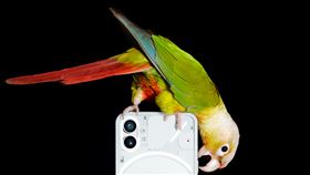 Nothing Phone (1) 以直覺設計，通過 Glyph Interface、完善的 Nothing OS 和出色的五千萬像素雙鏡頭為日常互動帶來歡樂