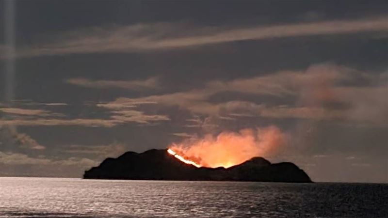 小蘭嶼驚傳火燒島　原來是為了一群羊