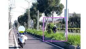 高雄,陸淑美,罰單,樹叢,違規,岡山