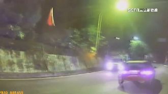 撞飛警臨檢三角錐　男喝醉藏草叢找狗