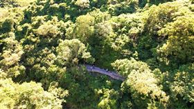 雙流瀑布15日重新開放雙流國家森林遊樂區瀑布步道平台整建工程完工，將於15日重新開放，提升遊憩舒適性與安全性。（屏東林區管理處提供）中央社記者李卉婷傳真  111年7月13日