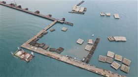 藻礁控三接沉箱破裂！中油：強度合規(圖/藻礁聯盟提供)