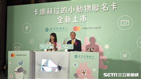 合庫銀行「卡娜赫拉的小動物悠遊聯名卡」Q萌登場。（圖／記者戴玉翔攝影）