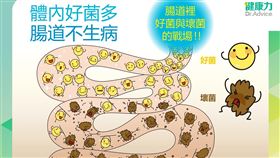 在腸道裡的好菌大軍長期多過壞菌，成為絕對優勢的軍力，就能養成不易生病的體質。