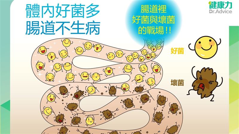 數百億益生菌也嘸用！定殖腸道才有效