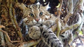 （特生中心提供）