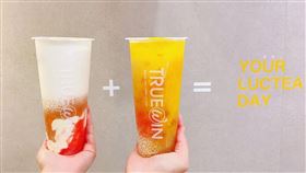 TrueWin初韻,業者提供