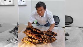 賴敏男,牛樟芝之父(圖/翻攝自賴敏男臉書)