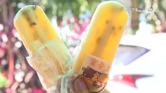 桂山電廠冰棒日賣萬支　銅板佛心價曝