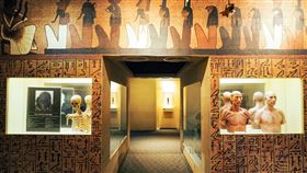 木乃伊,科博館,殭屍,南美館(翻攝自 國立自然科學博物館 National Museum of Natural Science 臉書)