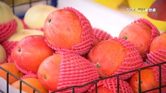 芒果產量腰斬！市場1顆賣破100元