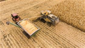 農場，農業，農具，收割機，收割，玉米，農耕（示意圖／翻攝自pixabay）