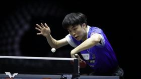 林昀儒晉級男單八強。（圖／翻攝自WTT官網）