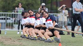 本屆世運會台灣女子拔河代表隊拿下金牌，完成五連霸。（圖／翻攝行政院長蘇貞昌臉書取自體育署提供畫面）