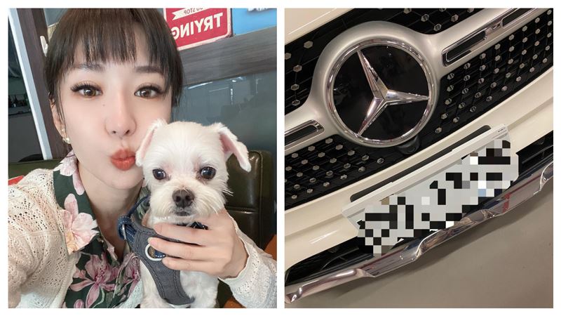 嗨換百萬新車　本土劇女星凍卵盼新人
