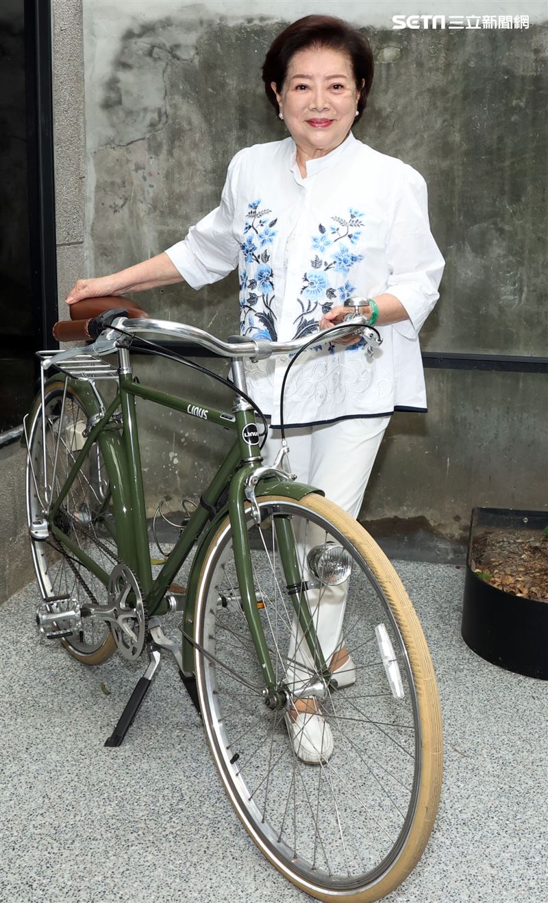 陳淑芳三立新聞網專訪。（記者邱榮吉/攝影）