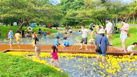 埔心牧場,業者提供