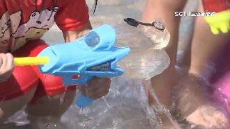 直擊新北水樂園　開放30分鐘水質濁