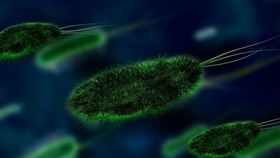 病毒，微生物，病原體，細菌（示意圖／翻攝自pixabay）
