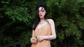 范冰冰。（圖／翻攝自范冰冰IG）